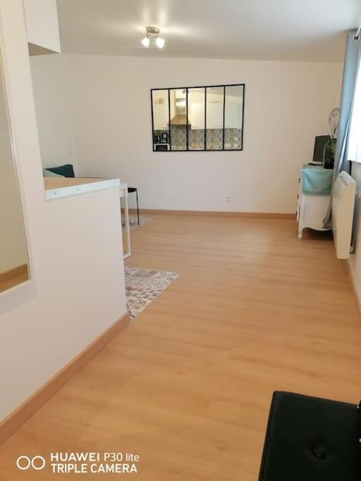 Charmant Logement En Plein Centre De Macon Lejlighed Eksteriør billede